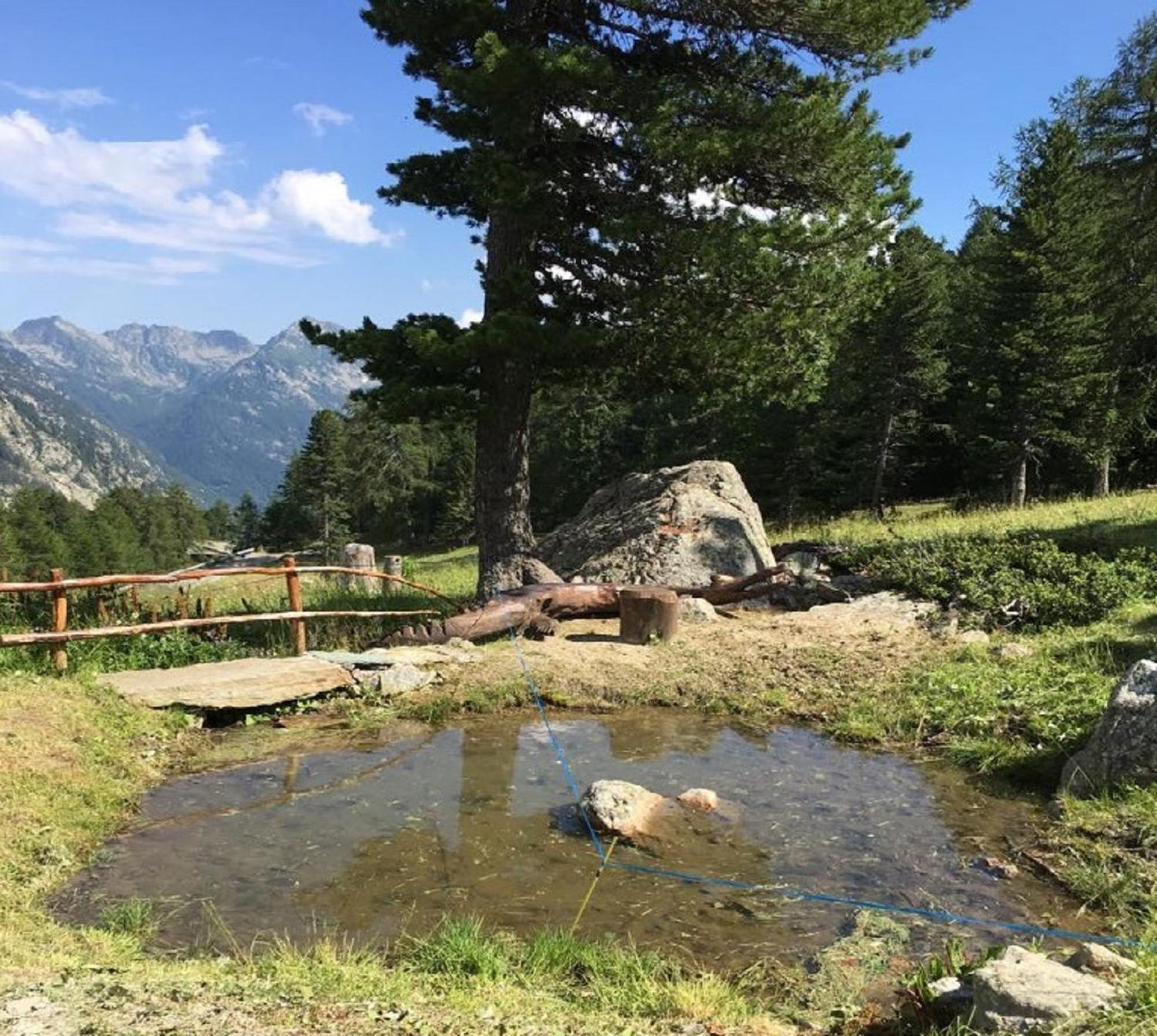 Baite Cialvrina Villa Gressoney-Saint-Jean Luaran gambar
