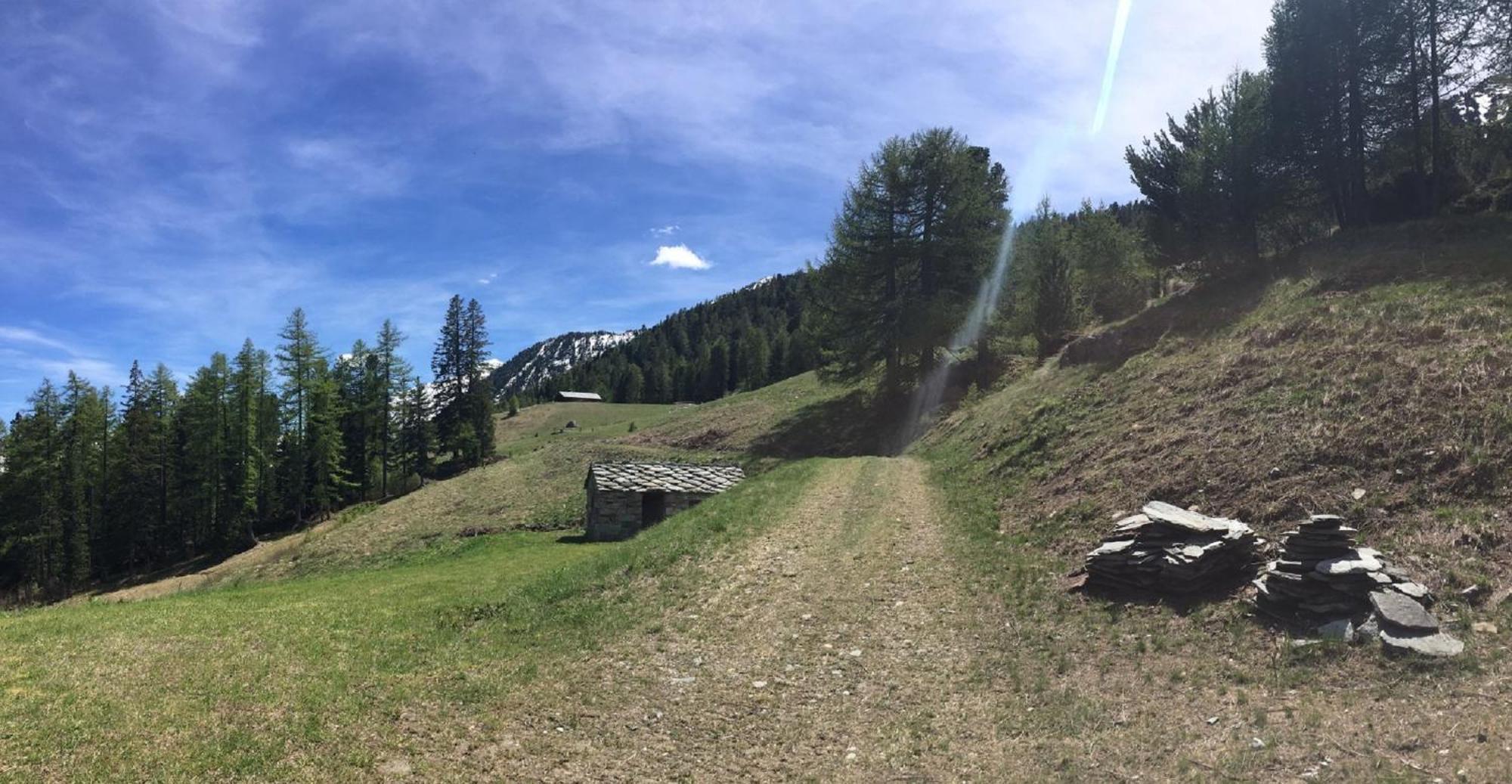 Baite Cialvrina Villa Gressoney-Saint-Jean Luaran gambar