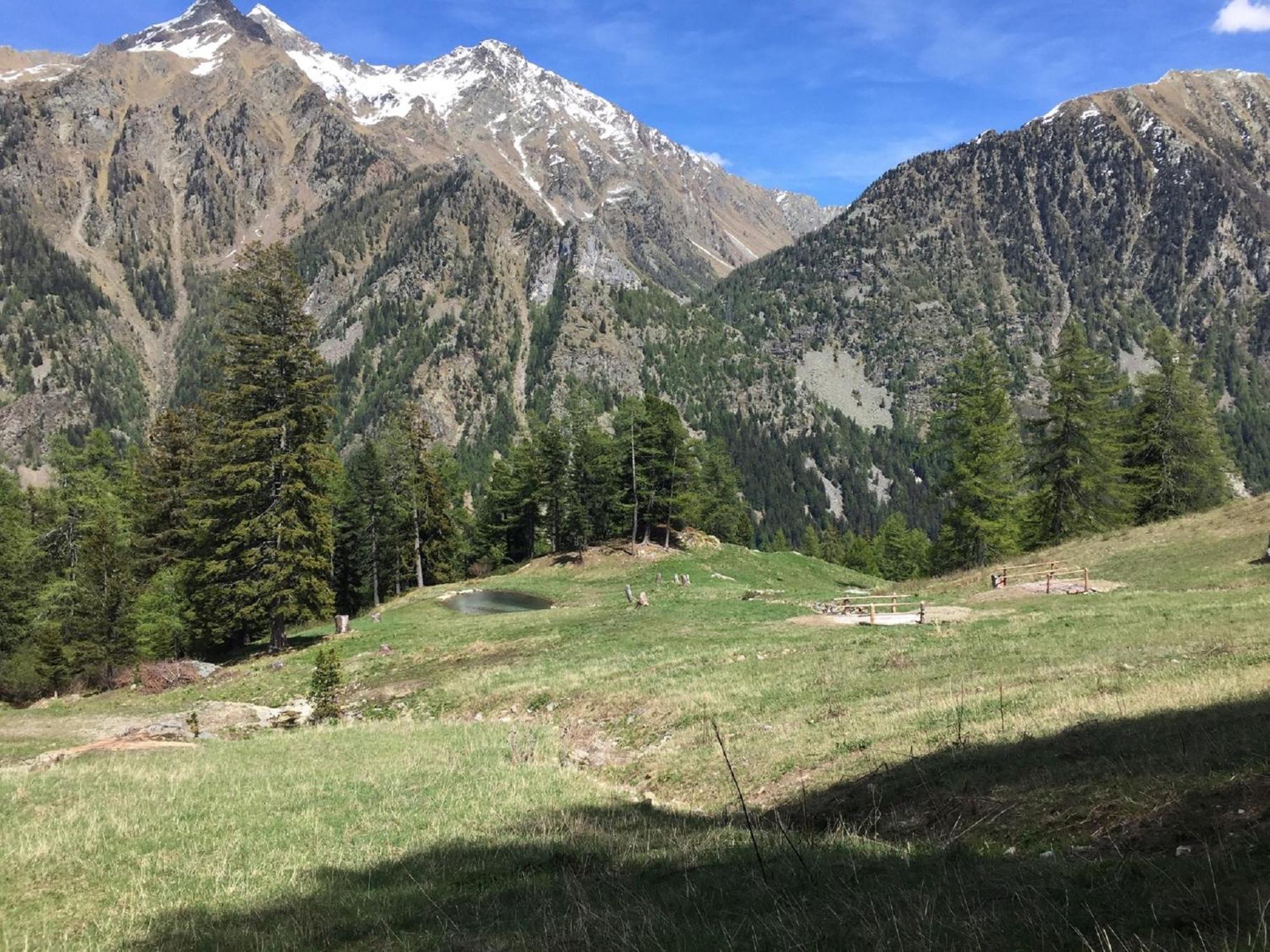 Baite Cialvrina Villa Gressoney-Saint-Jean Luaran gambar