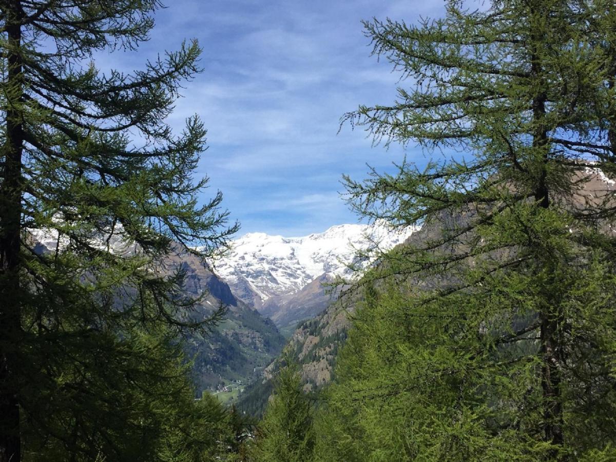 Baite Cialvrina Villa Gressoney-Saint-Jean Luaran gambar
