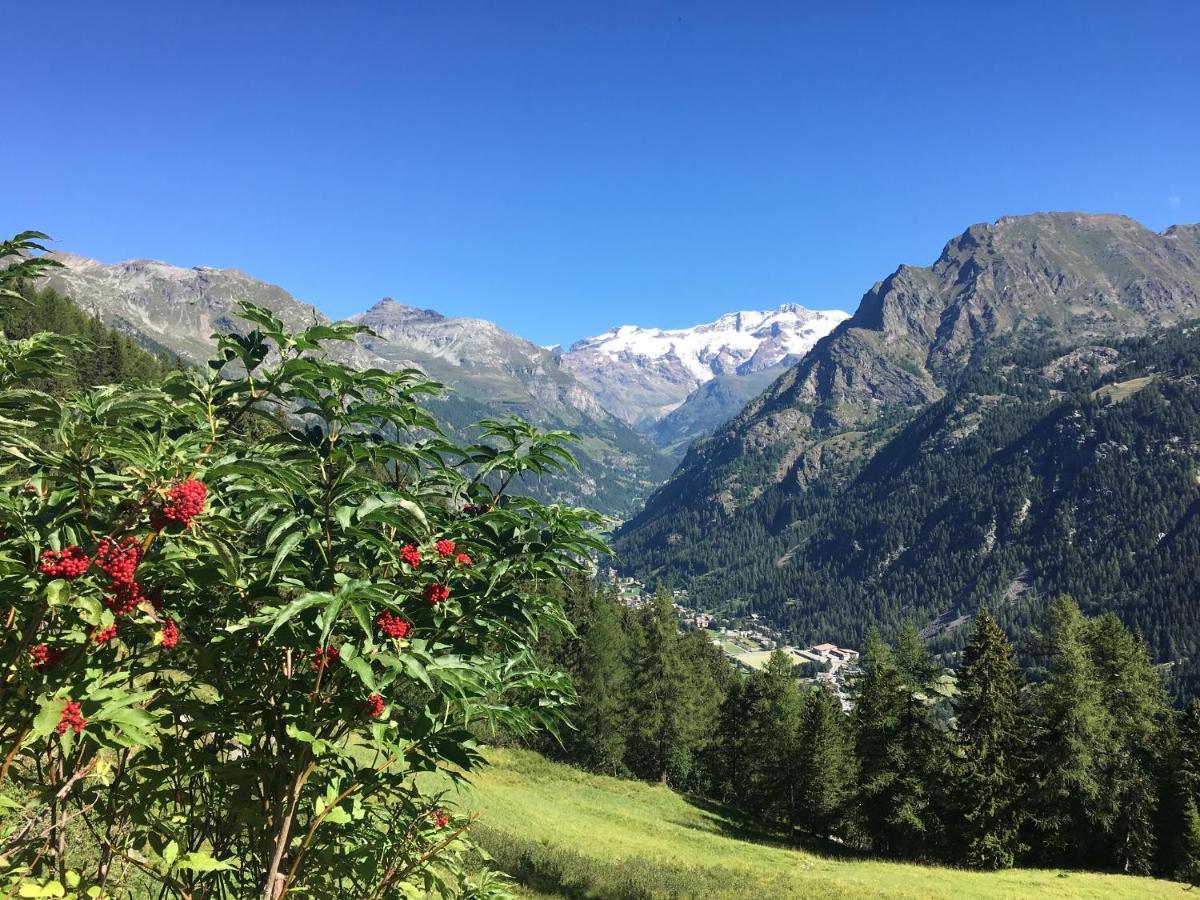 Baite Cialvrina Villa Gressoney-Saint-Jean Luaran gambar